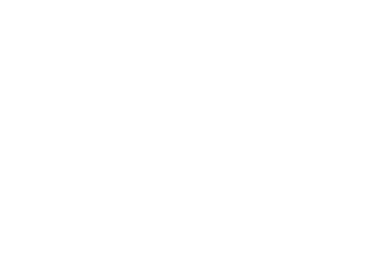 logo amli